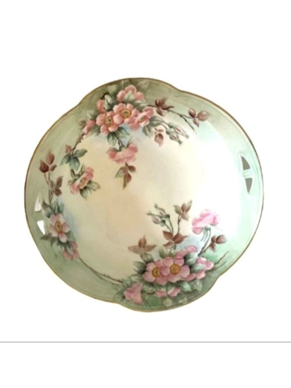 Antique Hand Painted Japan Porcelain Serving Bowl Wild Rose Pattern 1920s 10"